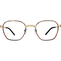 Zenni Geometric Glasses 139425