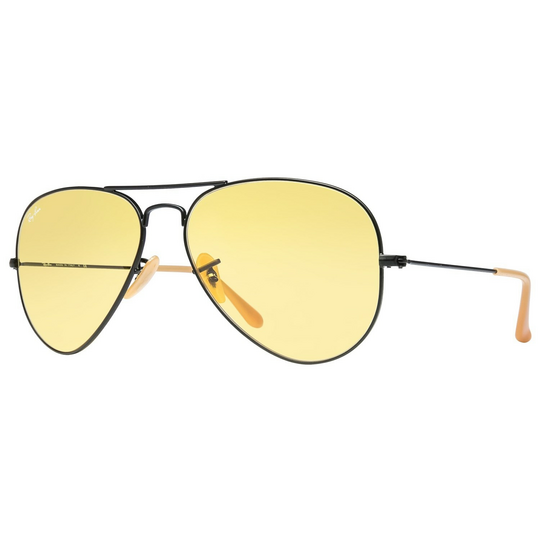 Ray-Ban RB3025 Evolve Aviator